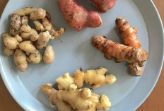 5 Resep Jamu Rempah, Ampuh Turunkan Kolesterol dan Gula Darah