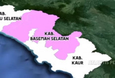 Wacana Pemekaran 7 Kabupaten/kota Baru di Provinsi Bengkulu, Berikut Daftarnya 