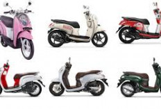Catat! Ini Sejarah Honda Scoopy dari Generasi ke Generasi 