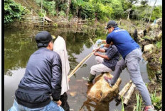 Diduga Tidak Bisa Berenang, Pelajar 15 Tahun Meninggal di Kolam Ikan