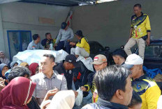 Peringati Hari Nusantara, DKP Bengkulu Bagikan 1,5 Ton Ikan Gratis