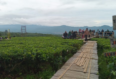 Spot Foto Objek Wisata Tebing Wetan Jadi Daya Tarik Wisatawan Libur Tahun Baru 2025