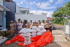  Dinas Pertanian Targetkan 2026 Petani Kepahiang Panen Gabah 35 Ton