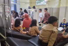 Sebabkan Belasan Siswa Terindikasi Keracunan, Ini Update Terbaru Hasil Sampel Menu MBG!