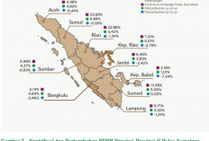 Ekonomi Bengkulu Tumbuh 4,64 Persen, Nomor 5 di Pulau Sumatera