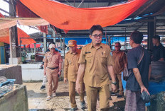 Cabai Rawit di Kepahiang Tembus Rp 100 Ribu Per Kg
