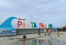 Hari Terakhir Libur Sekolah, Pengunjung Padati Spot Wisata Kawasan Pantai Panjang 