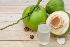 5 Bahan Alami yang Ampuh Usir Maag Tanpa Efek Samping