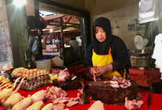 Harga Ayam di Pasar Minggu Bengkulu Stabil di Awal Tahun 2025