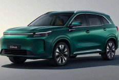 Alasan DFSK Plus Berani Terjun di Segmen PHEV Lawan BYD M6 DM Cs  