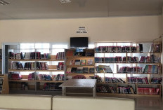 Perpusda Kepahiang Siapkan 14.804 Eksemplar Buku untuk Pembaca: Lengkap dengan Kitab Islam 