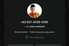 Pilwakot Memanas, WhatsApp Dani Hamdani Dicatut