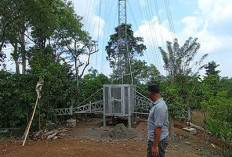 13 Desa di Kepahiang Masih Tergolong Blank Spot: Sulit Akses Jaringan Internet