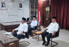 Tahun 2025 Dipastikan Tidak Ada Lagi THL, Begini Nasibnya