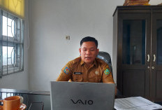 Target Pajak Daerah 2025 Naik Signifikan Gegara Ini