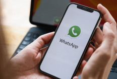 Tampilan Baru WhatsApp Lebih Berwarna