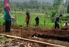 Kades Pekalongan Wakafkan Tanah Pribadi untuk Bangun Rumah Warga Tidak Mampu