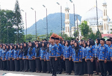 691 PPPK Paruh Waktu Dilantik: Ini Pesan Bupati Kepahiang Zurdi Nata