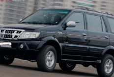 12 Mobil Diesel Murah: Tampilan Keren, Irit BBM & Gagah di Segala Medan