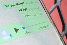 Cara Mengetahui Chat WhatsApp Sudah Dibaca Walau Centang Biru Mati 