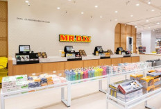 Siapa yang Punya MR DIY? Ini Orangnya