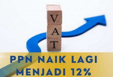 PPN Naik 12 Persen Tahun 2025, Kemenkeu: Uangnya Dikembalikan ke Masyarakat 