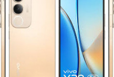Vivo Y29: Baterai Jumbo Bisa Tahan 3 Hari