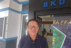 Seluruh Mobnas Pemkab Lebong Segera Dikumpulkan, Begini Penjelasan BKD