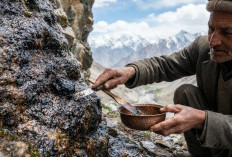 Jaga Stamina dan Vitalitas, Ini Shilajit Herbal Alami