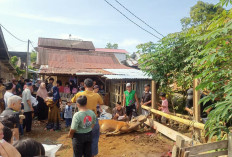 Kelurahan Pasar Sejantung Potong 10 Hewan Kurban