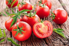  4 Khasiat Tomat, Asam Urat Dipastikan Tidak Berkutik