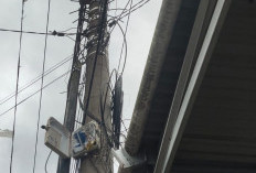 Pemasangan Kabel Wifi Nebeng di Tiang Listrik Milik PLN Dikeluhkan  