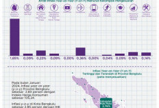 BPS Tambah Wilayah Pemantauan Inflasi di Bengkulu