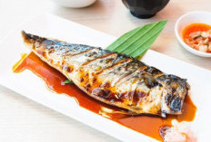 Beragam Manfaat Ikan Tenggiri Bagi Kesehatan 
