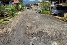 Warga Kelurahan Tertik Mengeluhkan Jalan Rusak Tidak Kunjung Diperbaiki