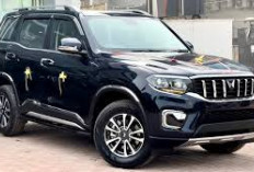  Scorpio-N Z8 Diesel 2025: Mobil SUV Gahar dengan Teknologi Canggih 