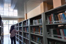 Tahun 2024 DPK Provinsi Bengkulu Targetkan Kunjungan ke Perpustakaan Daerah Capai 30 Pemustaka