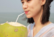 Rutin Minum Air Kelapa, Ini Khasiat Kesehatan yang Diperoleh Tubuh 