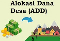 Beragam Pertimbangan, Perangkat Desa di Bengkulu Tengah Tetap Tolak Pengurangan ADD 