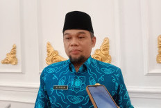 Dinas TPHP Bengkulu Usulkan Bantuan Alsintan