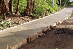 Pemdes Bukit Barisan Prioritaskan DD Bangun Jalan Rabat Beton