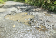  Pemprov Bengkulu Gelontorkan Anggaran Rp 21 M: Jalan Rusak di Kepahiang Bakal Diperbaiki 