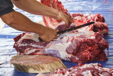 3 Potongan Daging Kambing Terbaik untuk Sate hingga Gulai: Hindari Kesalahan Pilih!