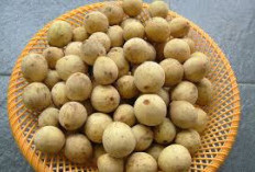Jangan Bingung, Begini Cara Bedakan Buah Duku dan Langsat 