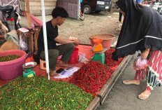 Harga Cabai Melonjak, Pedagang Kesulitan Pasokan