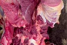 5 Cara Jitu Mengolah Daging Kambing Biar Nggak Bau Prengus dan Tetap Empuk