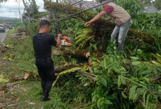 Dilanda Cuaca Ekstrem! Bencana Alam Mengancam, Simak Peringatan BPBD Kepahiang 