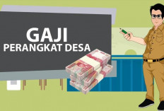 Akankah Tahun 2025 Gaji Kades dan Perangkat Naik?   Berikut Rincian Gaji Aparatur Desa