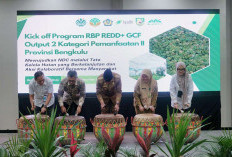 Optimalisasi Pengelolaan Hutan, Program RBP GCF Bengkulu Resmi di Luncurkan