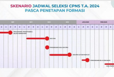 Pendaftaran CPNS 2024 Dibuka 3 Agustus, Berikut Penjelasan Skenarionya